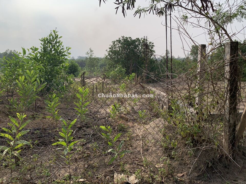 Bán 16,5x65 hẻm oto Trưng Trắc, Tân An,LaGi giá chỉ 170tr/m ngang