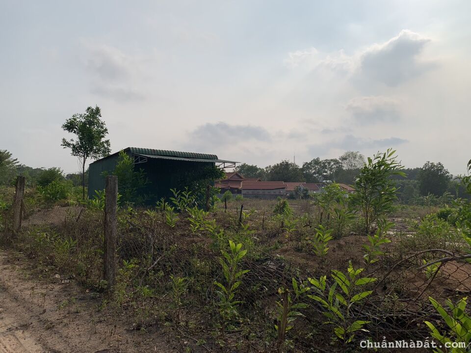 Bán 16,5x65 hẻm oto Trưng Trắc, Tân An,LaGi giá chỉ 170tr/m ngang