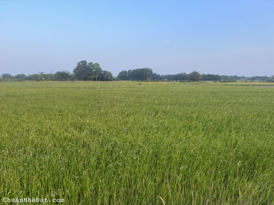 25x46 đất 2 mặt tiền, Tân Thiện,LaGi giá 800 triệu