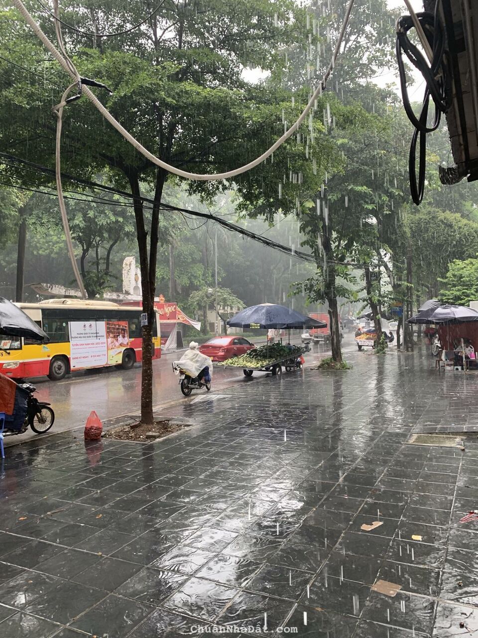 Bán biệt thự BT2 Bắc Linh Đàm mặt đường Nguyễn Hữu Thọ đối diện CV Linh Đàm 160m MT7m 4x tỷ hè rộng