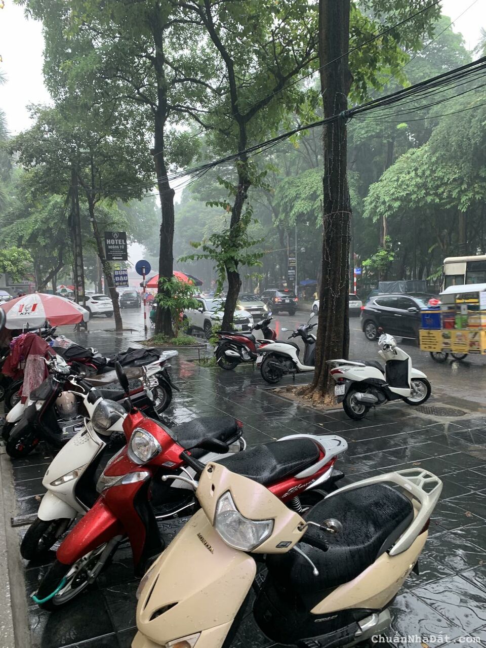 Bán biệt thự BT2 Bắc Linh Đàm mặt đường Nguyễn Hữu Thọ đối diện CV Linh Đàm 160m MT7m 4x tỷ hè rộng