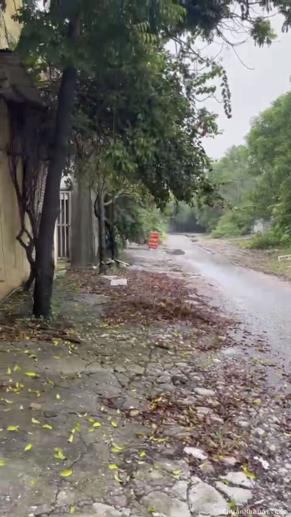 CC CHO THUÊ KHO 3 TẦNG 1000M2 Ở XUÂN NÊ THƯỜNG TÍN CC CHO THUÊ KHO 3 TẦNG 1000M2 Ở XUÂN NÊ THƯỜNG TÍN