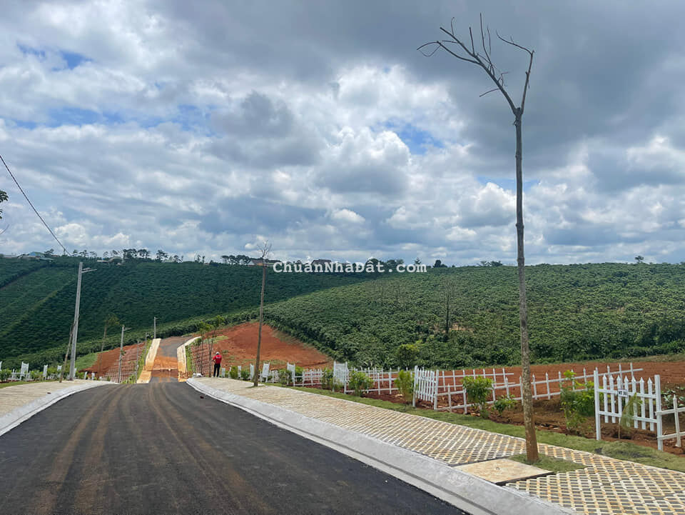 Lộc Tân Garden Bảo Lộc  Lâm Đồng  - Đất Nghĩ Dưỡng chỉ từ 610tr. 09373 19795