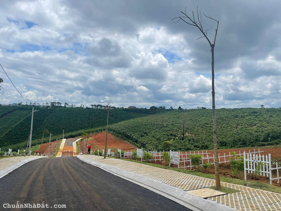 Chính chủ bán đất bảo lộc 700tr,thổ 100%, SHR,vị thế sườn dốc view cực đẹp. Gần Cao tốc.0937319795 Chính chủ bán đất bảo lộc 700tr,thổ 100%, SHR,vị thế sườn dốc view cực đẹp. Gần Cao tốc.0937319795