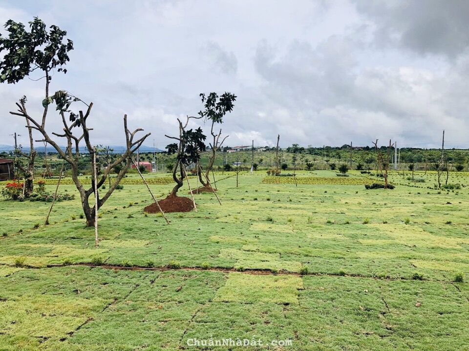 Bán gấp lô đất 170m2 full thổ cư sổ riêng tại Bảo Lộc chỉ 7tr/m2 LH 0909552712