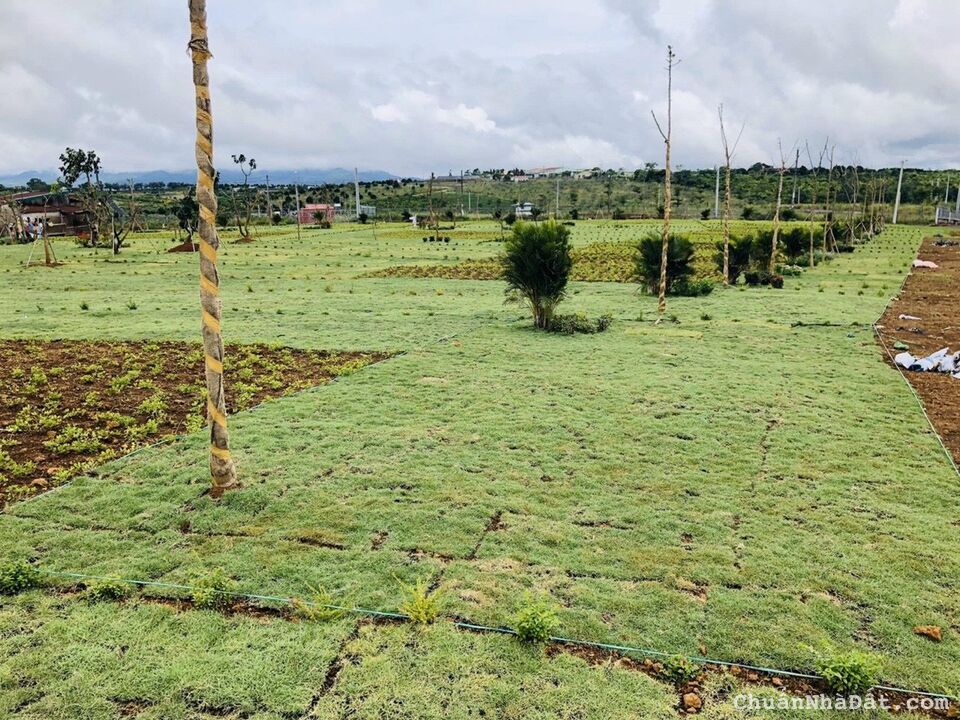 Chính chủ bán lỗ lô đất 545m2 full thổ cư đã có sổ tại Bảo Lộc LH 0909552712