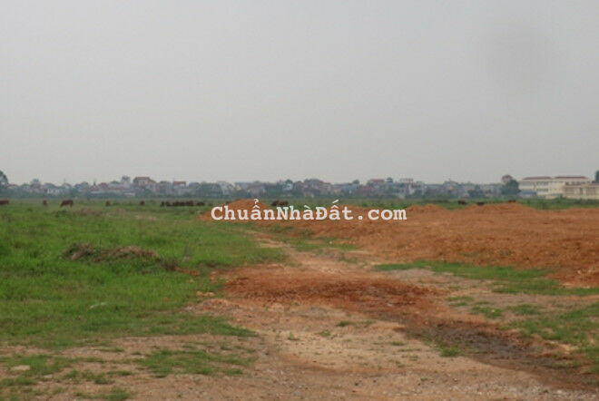 Bán đất kh xưởng gần MT QL14B, xã Hòa Nhơn, Hòa Vang, 1.300m2, 4.2 tỷ 