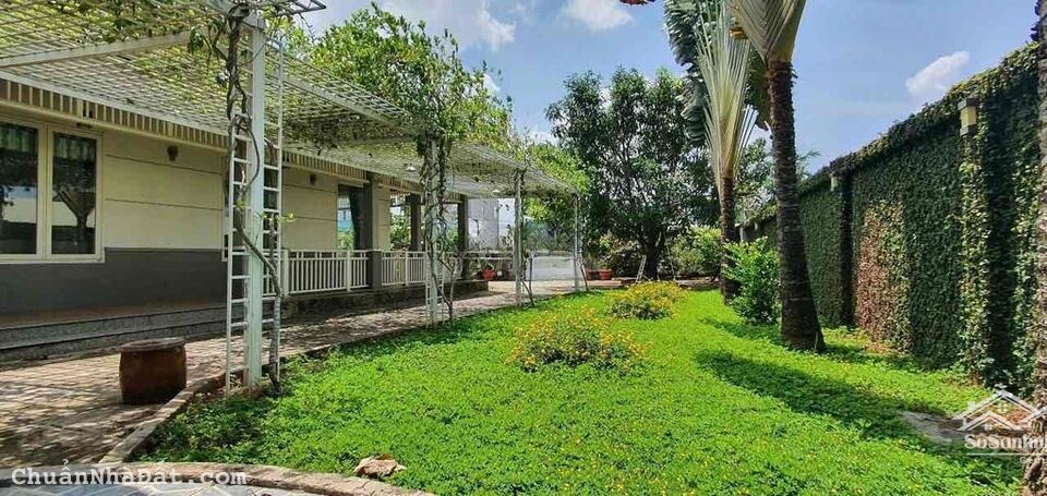 Cho thuê biệt thự sân vườn MT HỒ XUÂN HƯƠNG, Q. Ngũ Hành Sơn 800m2, 90 tr/th