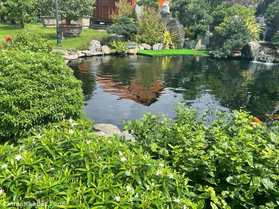 Bán đất vườn đường 5m NGUYỄN PHÚ HƯỜNG, Q. Cẩm Lệ 5.500m2, 3.1 tỷ