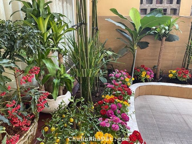 Cho thuê nhà 2 mặt tiền Đường số 24 Linh Đông Thủ Đức 7m x 32m trệt 2 lầu,giá 20tr rẻ bất ngờ