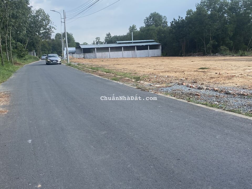 BÁN ĐẤT 1 SẸC ĐƯỜNG MỸ PHƯỚC TÂN VẠN, TÂN ĐỊNH