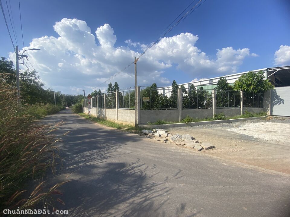 BÁN ĐẤT THỔ CƯ BẾN CÁT, BÌNH DƯƠNG