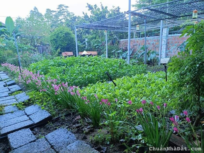 ĐẤT SÀO NGHỈ DƯỠNG GIÁP SÔNG ĐA NHIM, GẦN SÂN BAY, VEN ĐÀ LẠT. GIÁ RẺ NHẤT KHU VỰC