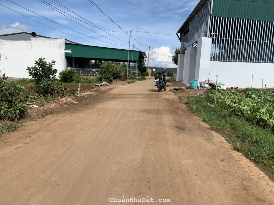 ĐẤT NGHỈ DƯỠNG THẾ DƯƠNG SIÊU ĐẸP, CÁCH QL 20 CHỈ 150, SẴN THỔ CƯ, SỔ HỒNG RIÊNG ! ĐỨC TRỌNG, ĐẤT NGHỈ DƯỠNG THẾ DƯƠNG SIÊU ĐẸP, CÁCH QL 20 CHỈ 150, SẴN THỔ CƯ, SỔ HỒNG RIÊNG ! ĐỨC TRỌNG,