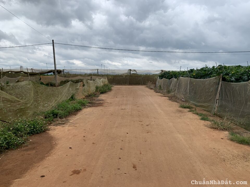 ĐẤT NỀN SẴN THỔ CƯ VÙNG VEN TP ĐÀ LẠT, DÂN CƯ HIỆN HỮU. GIÁ DƯỚI 1 TỶ, ĐẠ RÒN, ĐƠN DƯƠNG, LÂM ĐỒNG