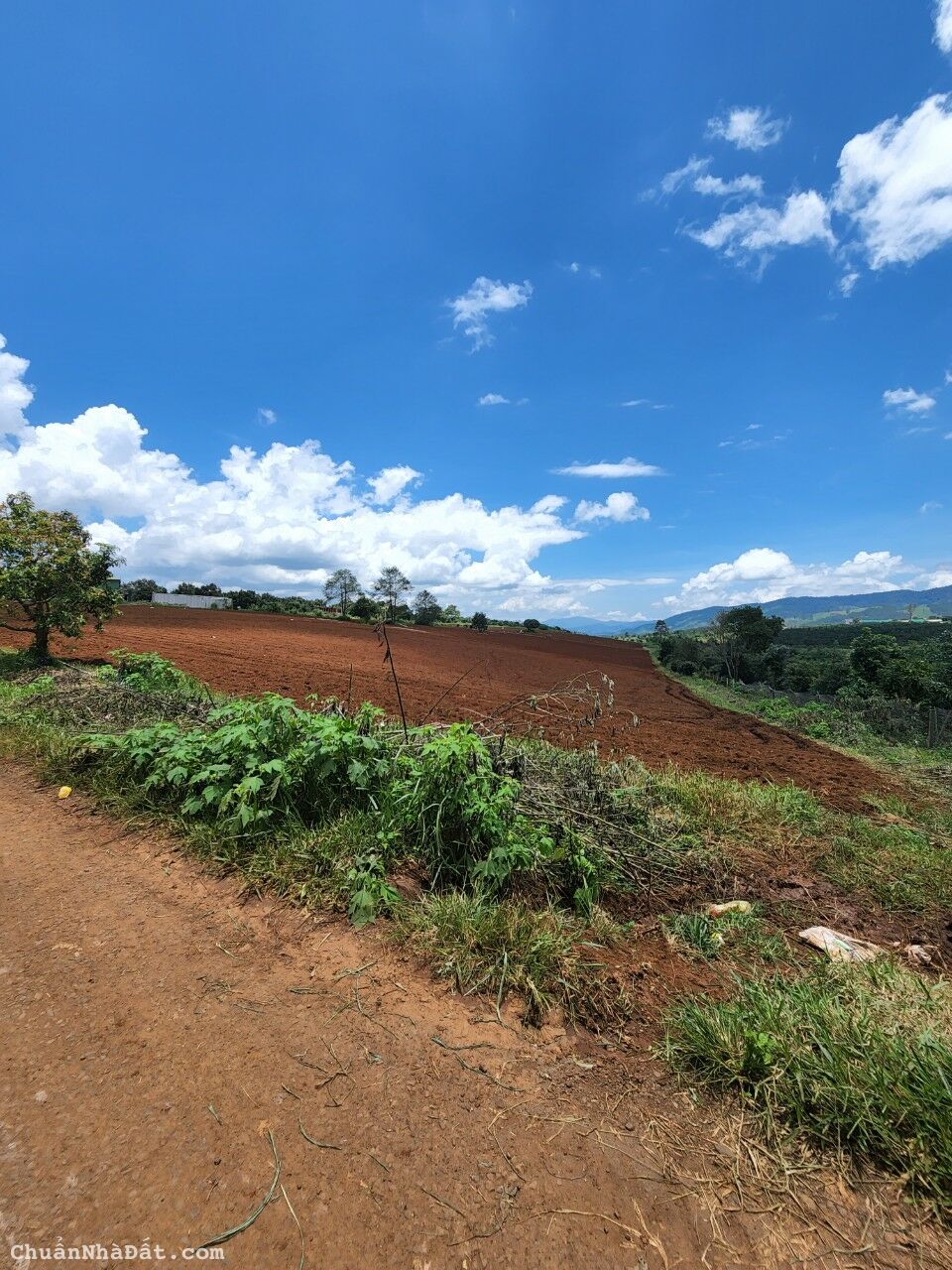 Bán lô đất DT 5 Hecta ( 400 m² xây dựng ) MT 190m cạnh Mê Linh Garden Hill – Xã Mê Linh