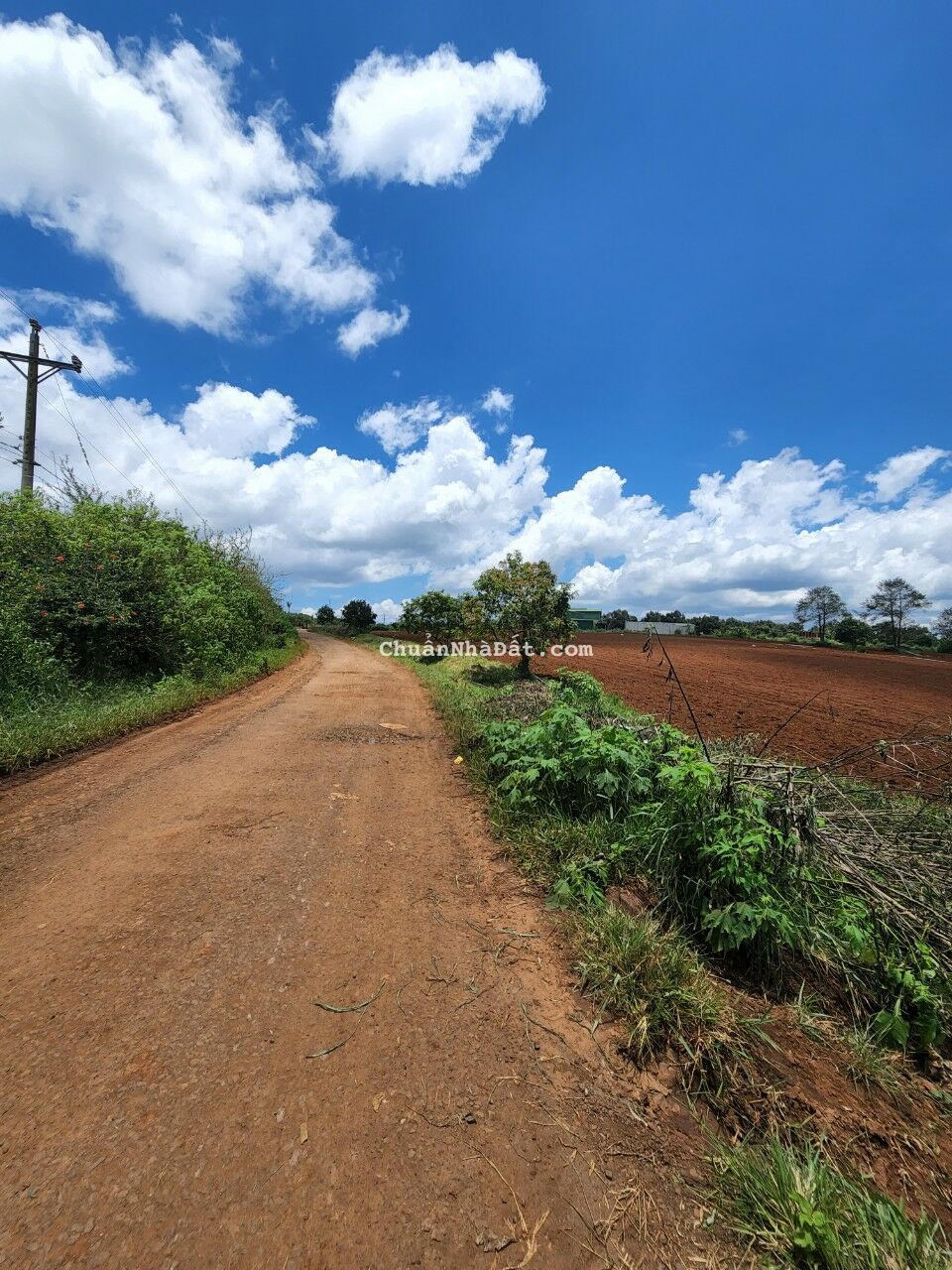 Bán lô đất DT 5 Hecta ( 400 m² xây dựng ) MT 190m cạnh Mê Linh Garden Hill – Xã Mê Linh