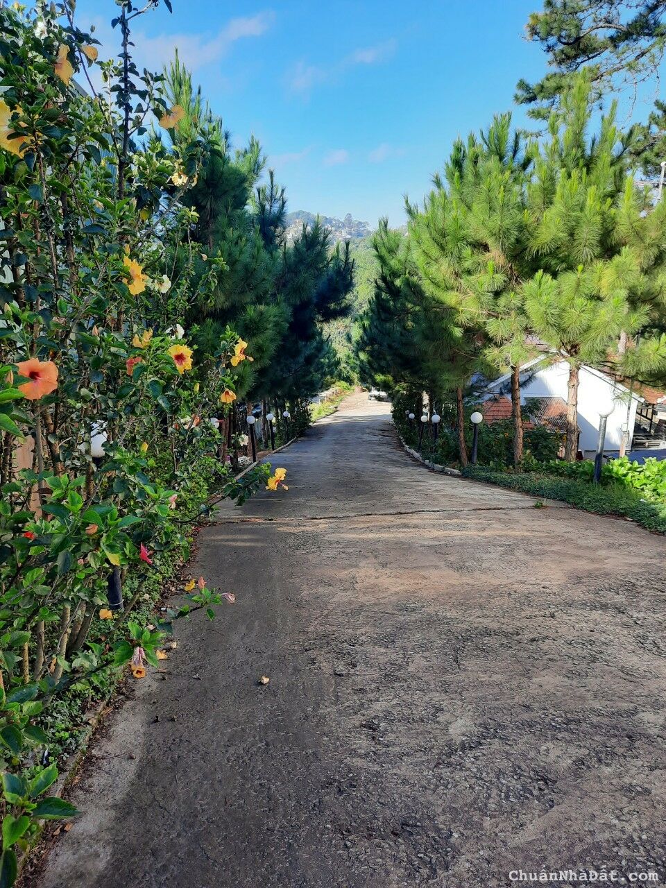 Em bán lô đất DT 8700m² ( Có 400 m² xây dựng ) Mặt Tiền đường Khe Sanh – F10 – TP Đà Lạt 