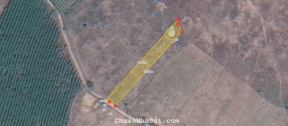 310 triệu sở hữu ngay lô đất 1300m2 trồng sẵn bạch đàn, sổ hồng riêng 310 triệu sở hữu ngay lô đất 1300m2 trồng sẵn bạch đàn, sổ hồng riêng