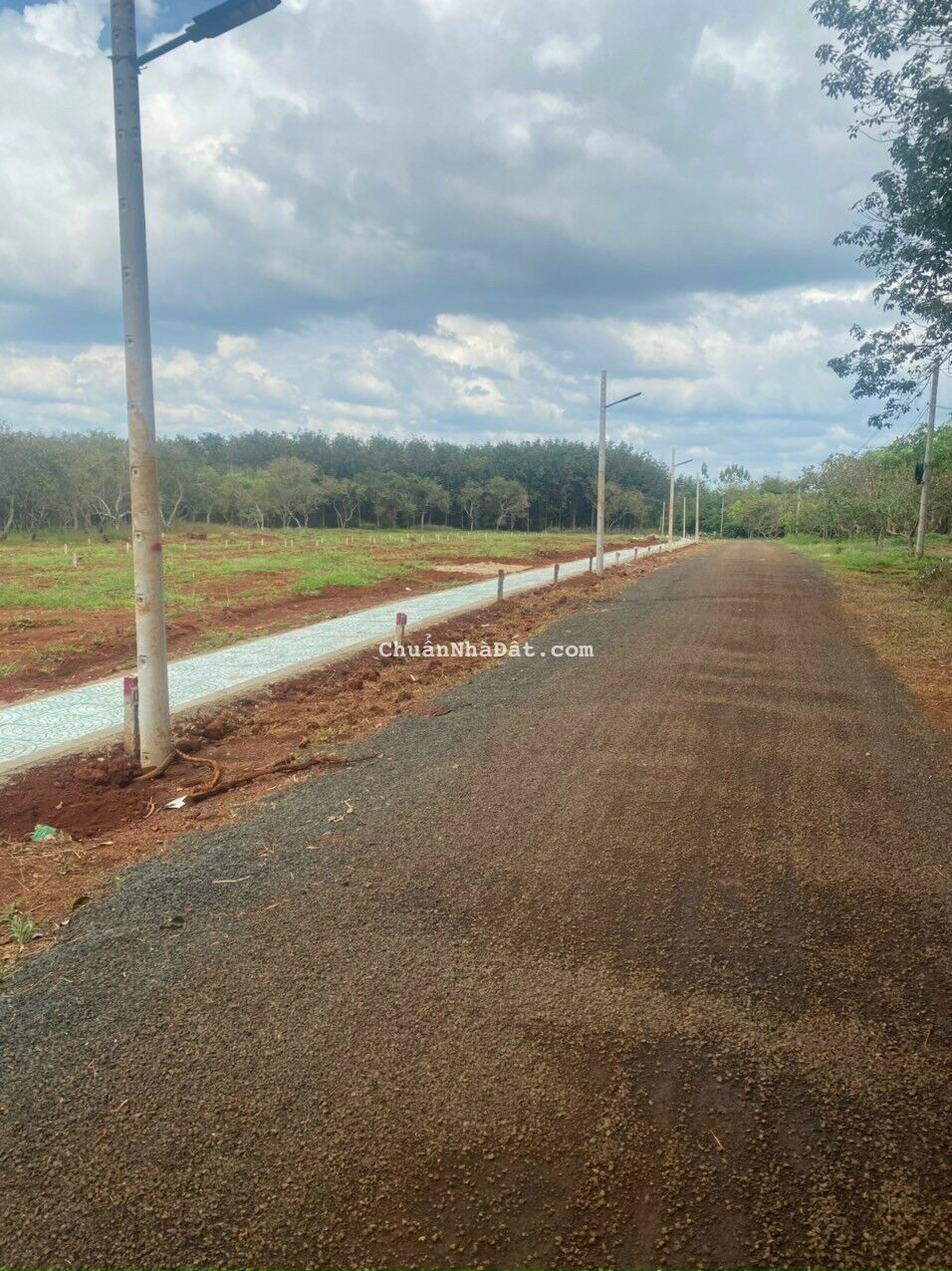 đất nền Bình Phước có 100m2 thổ cư. shr có sẵn. dân cu hiện hữu