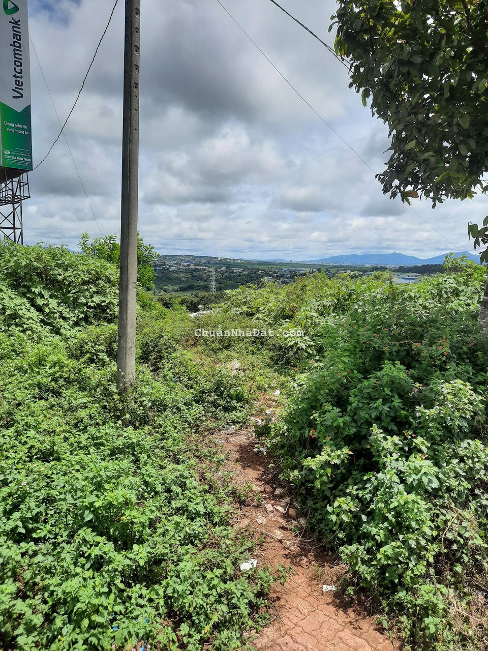 MT quốc Lộ 14 Khu Đông Dân Cư 10x80 Giá 1ty8 MT quốc Lộ 14 Khu Đông Dân Cư 10x80 Giá 1ty8