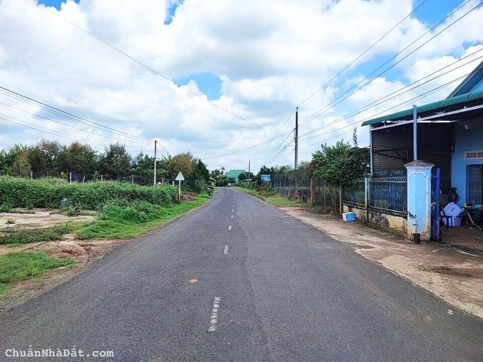 BÁN ĐẤT TẠI THÀNH PHỐ BẢO LỘC 