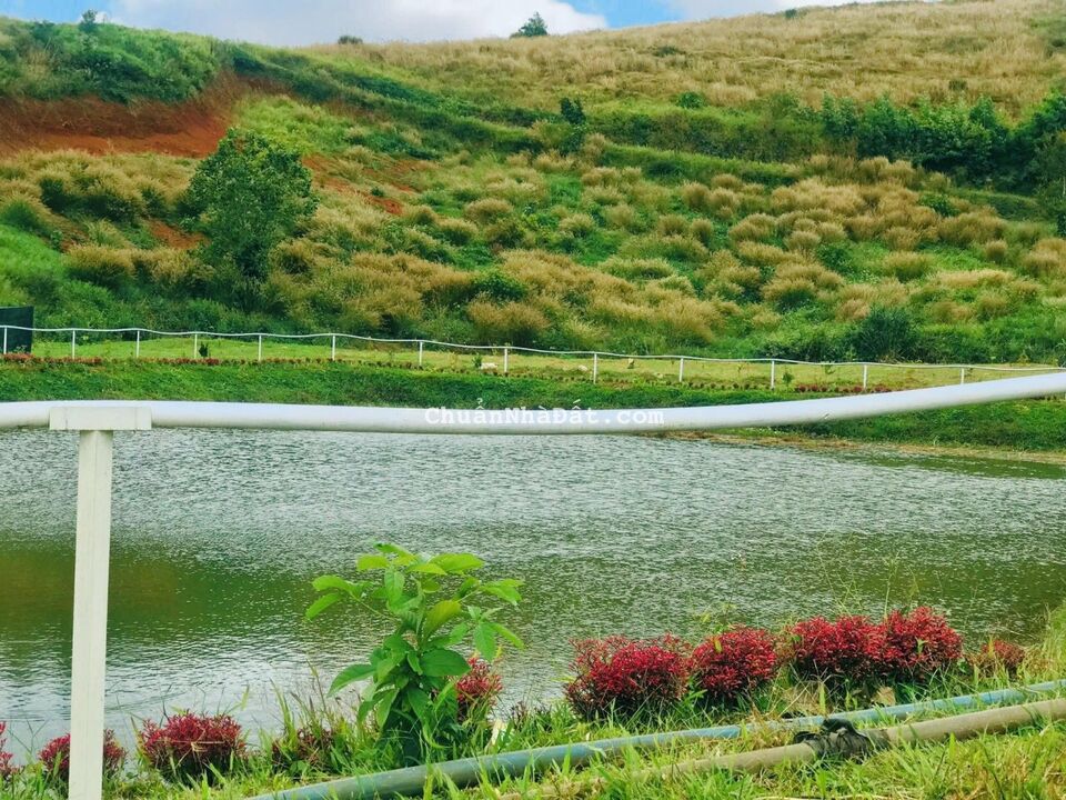 BÁN ĐẤT TẠI TRUNG TÂM THÀNH PHỐ BẢO LỘC. BÁN ĐẤT TẠI TRUNG TÂM THÀNH PHỐ BẢO LỘC.