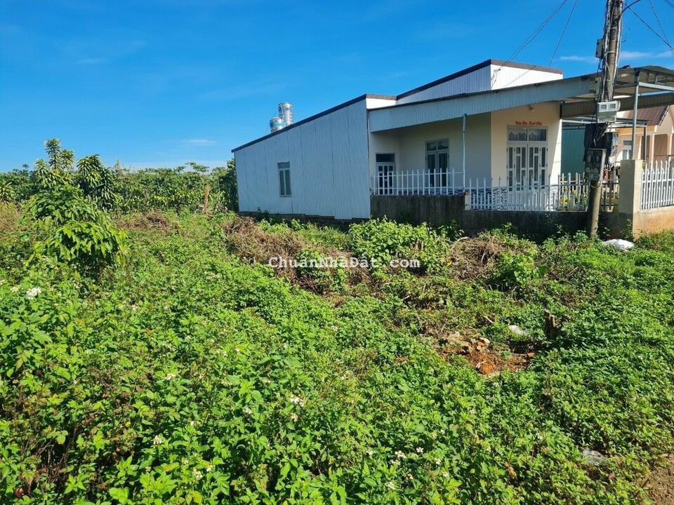 BÁN ĐẤT TẠI TRUNG TÂM THÀNH PHỐ BẢO LỘC BÁN ĐẤT TẠI TRUNG TÂM THÀNH PHỐ BẢO LỘC