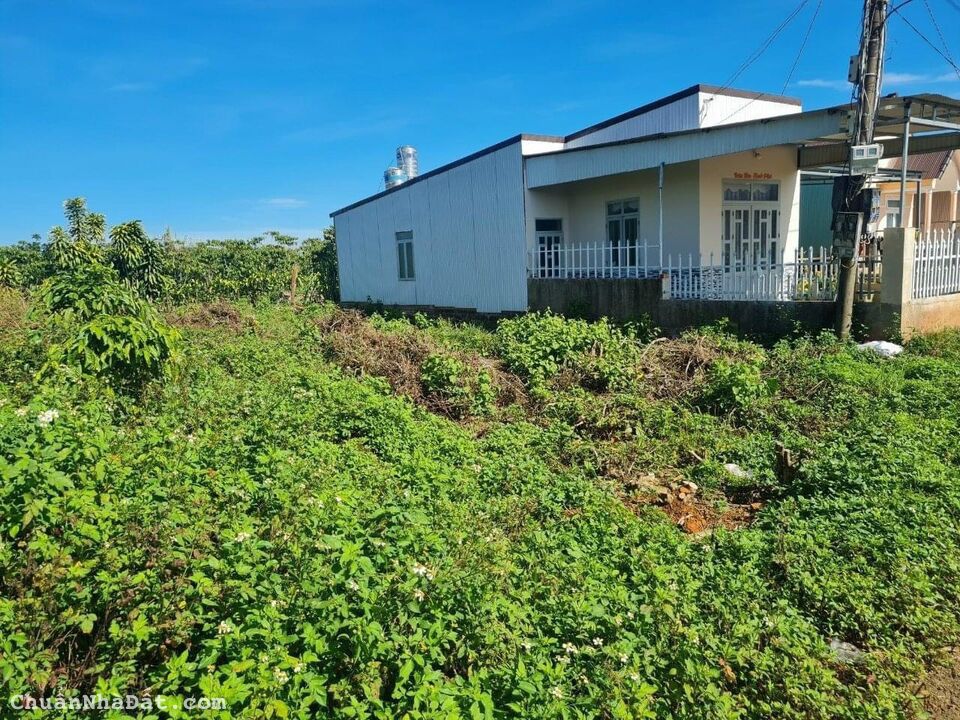 BÁN LÔ ĐẤT NGAY TẠI TRUNG TÂM THÀNH PHỐ BẢO LỘC 