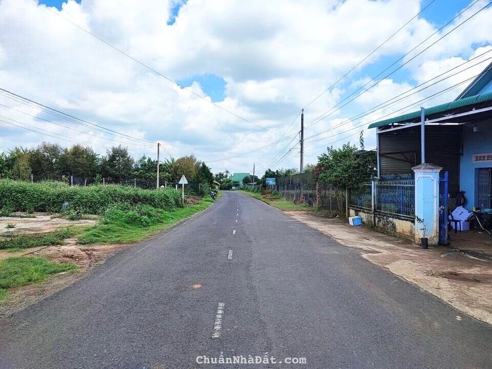 BÁN ĐẤT TẠI THÀNH PHỐ BẢO LỘC 