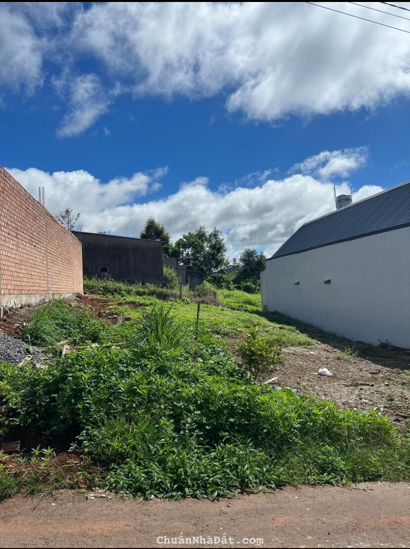 ĐẤT NGHĨ DƯỠNG THÀNH PHỐ BẢO LỘC