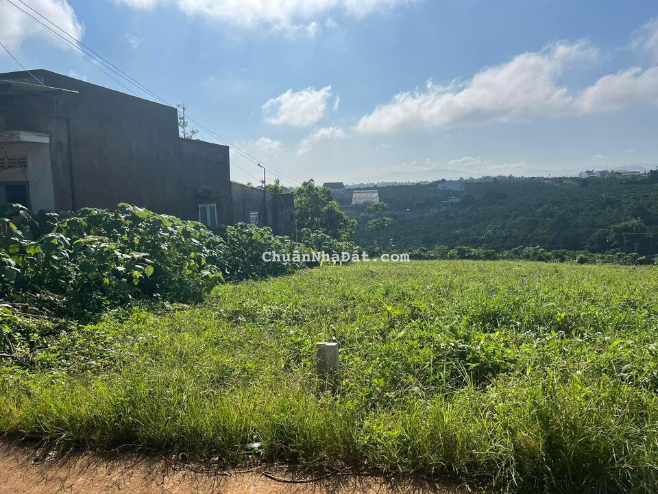 ĐẤT NGAY TRUNG TÂM THÀNH PHỐ BẢO LỘC ĐẤT NGAY TRUNG TÂM THÀNH PHỐ BẢO LỘC