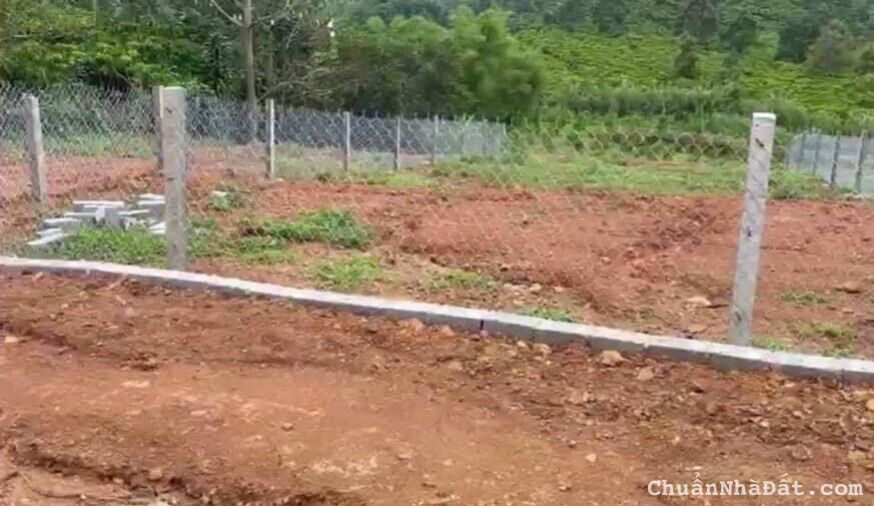 ĐẤT THỔ CƯ VIEW SUỐI GẦN THÀNH PHỐ BẢO LỘC ĐẤT THỔ CƯ VIEW SUỐI GẦN THÀNH PHỐ BẢO LỘC