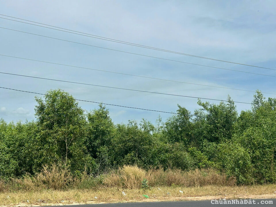 Kèo Ngợp ven biển đường Hùng Vương Tân Bình Thị xã Lagi