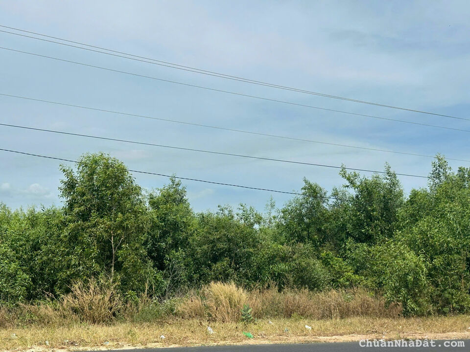 Kèo Ngợp ven biển đường Hùng Vương Tân Bình Thị xã Lagi