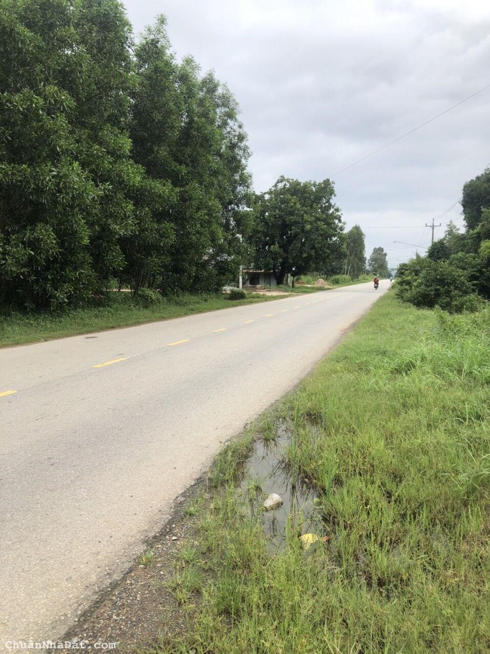  Mặt tiền QL 55B Kp 1 Tân Nghĩa Hàm Tân Bình Thuận 10x80 phủ hồng ODT 3 tỷ gần QL 1A