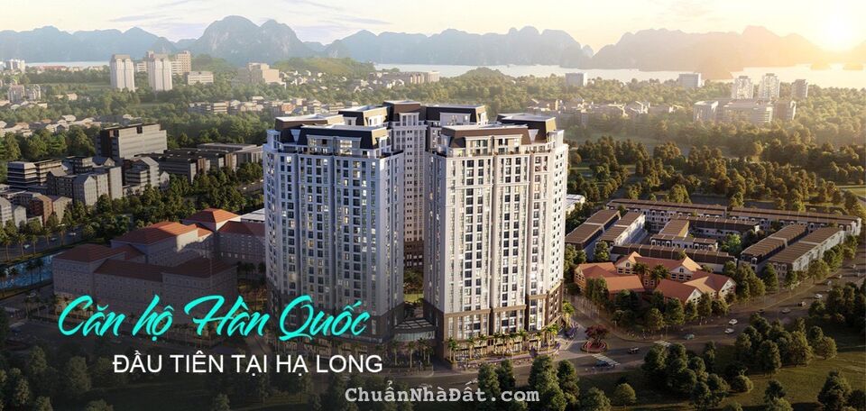 Dân Hàn Quốc thích thú đầu tư căn hộ Hàn Quốc cùng Pảk Han Seo tại HạLong chỉ từ 300tr