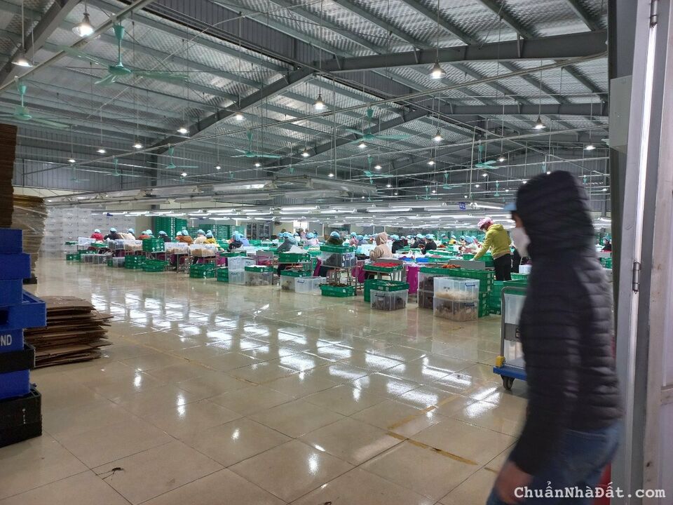 TRANSFER OF THE ENTIRE FACTORY in NAM DINH PROVINCE/南定省整个工厂转让