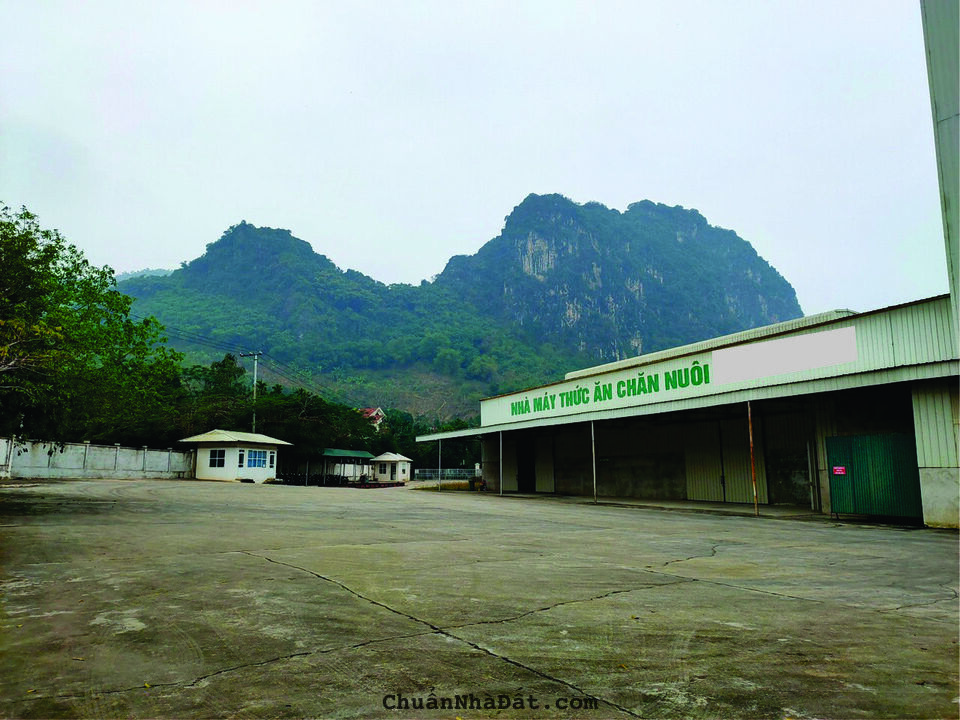 CHUYỂN NHƯỢNG NHÀ MÁY SX THỨC ĂN CHĂN NUÔI TẠI HÒA BÌNH CHUYỂN NHƯỢNG NHÀ MÁY SX THỨC ĂN CHĂN NUÔI TẠI HÒA BÌNH