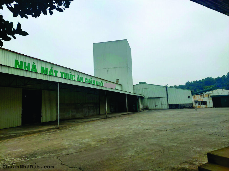 CHUYỂN NHƯỢNG NHÀ MÁY SX THỨC ĂN CHĂN NUÔI TẠI HÒA BÌNH CHUYỂN NHƯỢNG NHÀ MÁY SX THỨC ĂN CHĂN NUÔI TẠI HÒA BÌNH