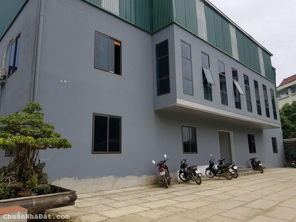 CHUYỂN NHƯỢNG ĐẤT QSD ĐẤT Ở LÂU DÀI VÀ NHÀ XƯỞNG