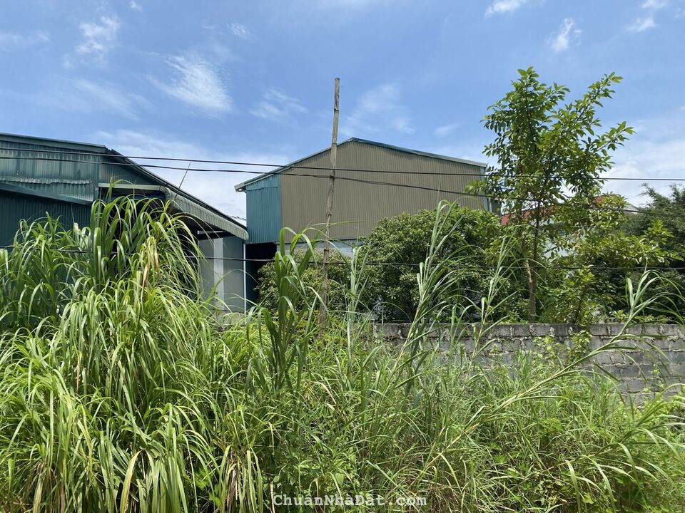 CHUYỂN NHƯỢNG ĐẤT QSD ĐẤT Ở LÂU DÀI VÀ NHÀ XƯỞNG