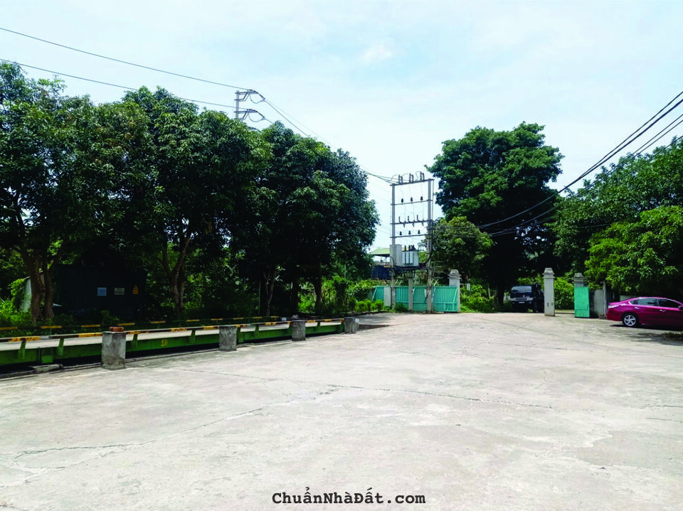 CẦN CHUYỂN NHƯỢNG NHÀ XƯỞNG TS GẮN LIỀN TẠI KCN MÔNG HOÁ – HOÀ BÌNH CẦN CHUYỂN NHƯỢNG NHÀ XƯỞNG TS GẮN LIỀN TẠI KCN MÔNG HOÁ – HOÀ BÌNH