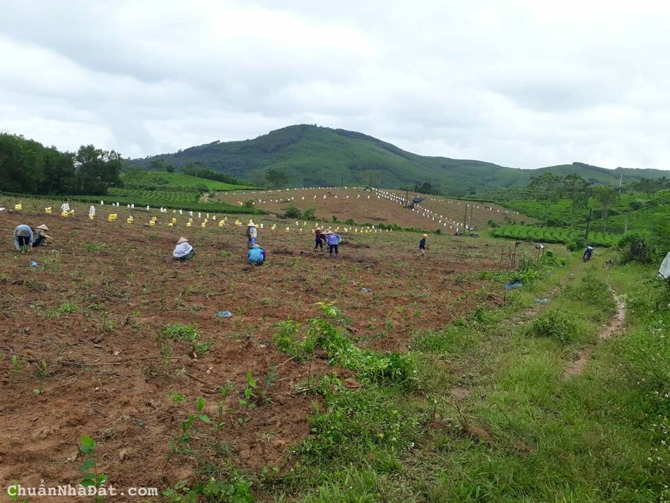 CẦN CHUYỂN NHƯỢNG NHÀ XƯỞNG VÀ TS TẠI VĂN LÂM – HƯNG YÊN CẦN CHUYỂN NHƯỢNG NHÀ XƯỞNG VÀ TS TẠI VĂN LÂM – HƯNG YÊN