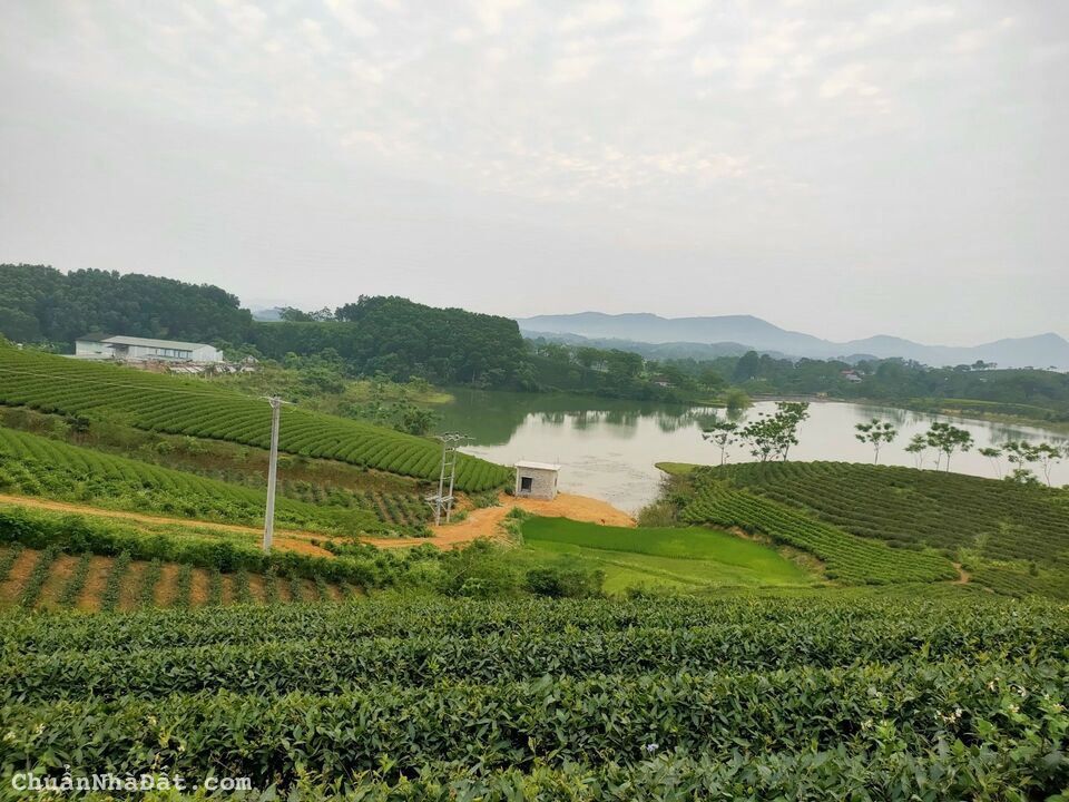 CẦN CHUYỂN NHƯỢNG NHÀ XƯỞNG VÀ TS TẠI VĂN LÂM – HƯNG YÊN CẦN CHUYỂN NHƯỢNG NHÀ XƯỞNG VÀ TS TẠI VĂN LÂM – HƯNG YÊN