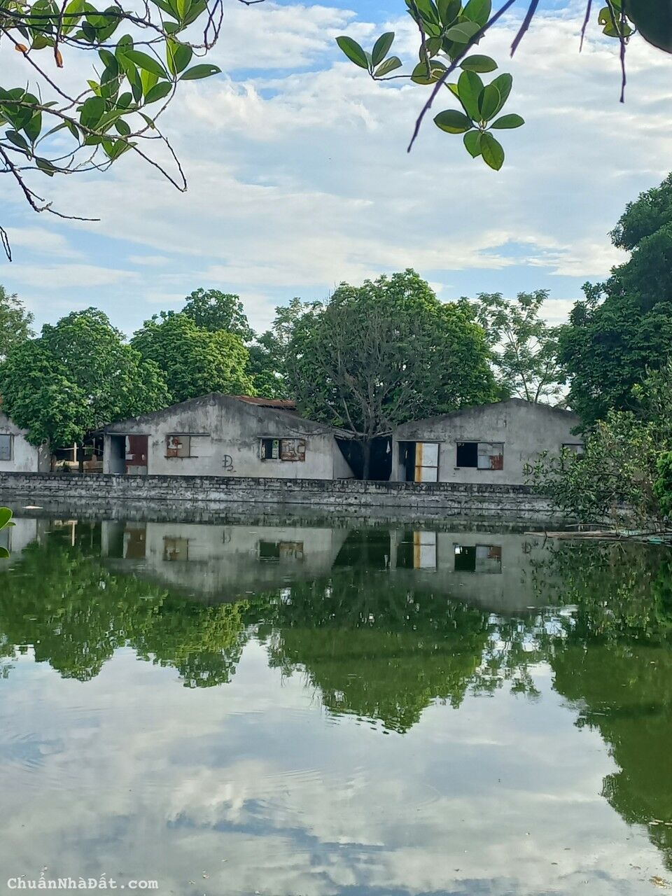 CẦN CHUYỂN NHƯỢNG TRANG TRẠI 26000M2 TẠI PHÚ XUYÊN – HN CẦN CHUYỂN NHƯỢNG TRANG TRẠI 26000M2 TẠI PHÚ XUYÊN – HN