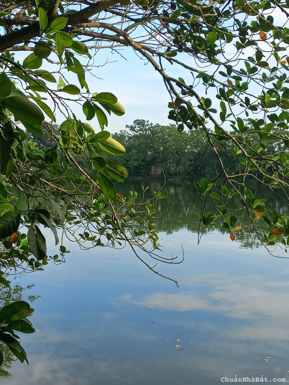 CẦN CHUYỂN NHƯỢNG TRANG TRẠI 26000M2 TẠI PHÚ XUYÊN – HN CẦN CHUYỂN NHƯỢNG TRANG TRẠI 26000M2 TẠI PHÚ XUYÊN – HN