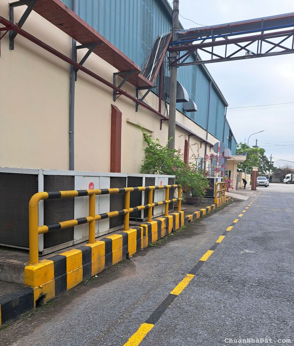 CHO THUÊ TOÀN BỘ NHÀ MÁY TẠI ĐƯỜNG QL 39 KHOÁI CHÂU. HƯNG YÊN