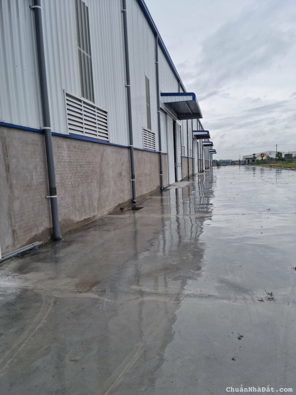 CHO THUÊ KHO, XƯỞNG TẠI VĂN LÂM. HƯNG YÊN giá tốt