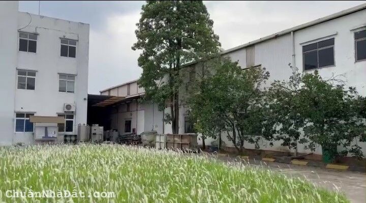 CHO THUÊ KHO, XƯỞNG TẠI KCN BÌNH XUYÊN. TỈNH VĨNH PHÚC. CHO THUÊ KHO, XƯỞNG TẠI KCN BÌNH XUYÊN. TỈNH VĨNH PHÚC.